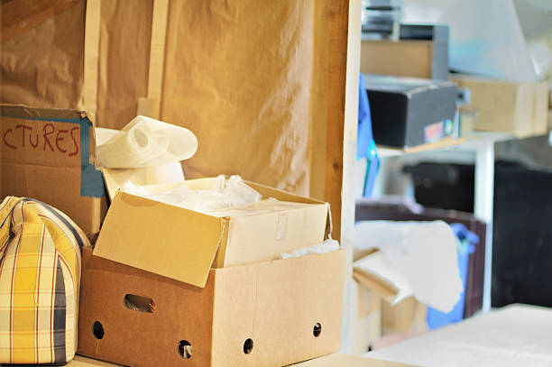 Professional Junk Removal in Maplewood, WA